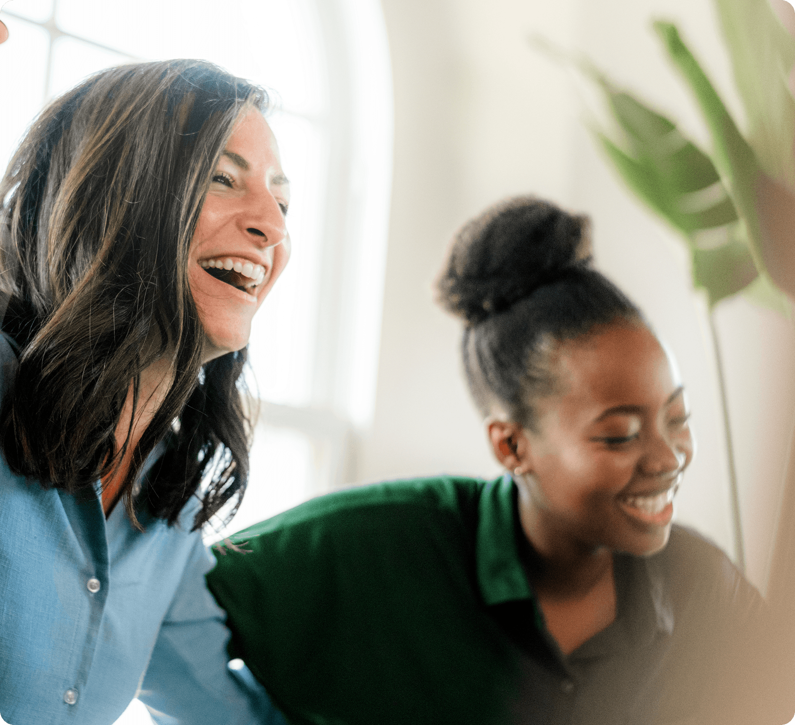 For Prospective Donors